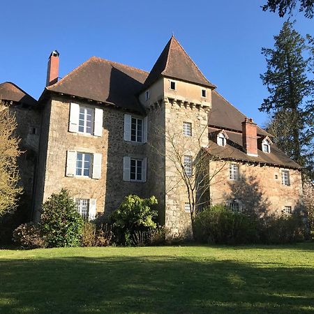 Chateau De Grand Bonnefont Limoges Exterior photo